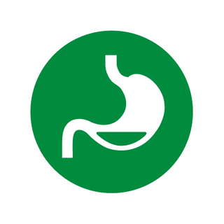 Gastro_ICON_web.png